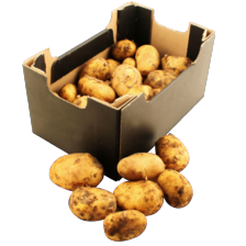 Frieslander aardappelen
